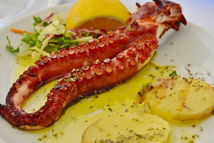 Squid fir d